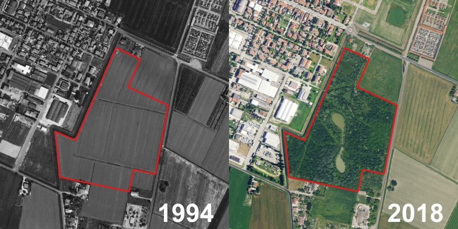 Ortoforo a confronto: 1994 e 2018