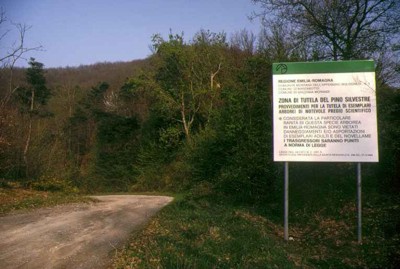 Nuclei protetti di Pino silvestre a Monte Sole