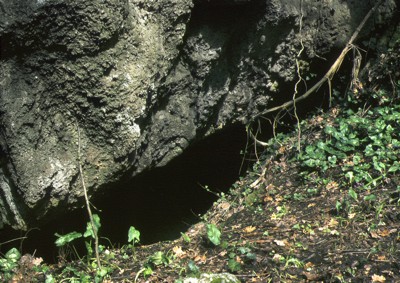 Un inghiottitoio si apre nella roccia gessosa