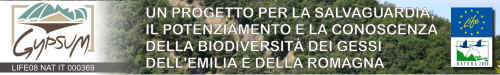 Vai al sito LIFE NATURA GYPSUM